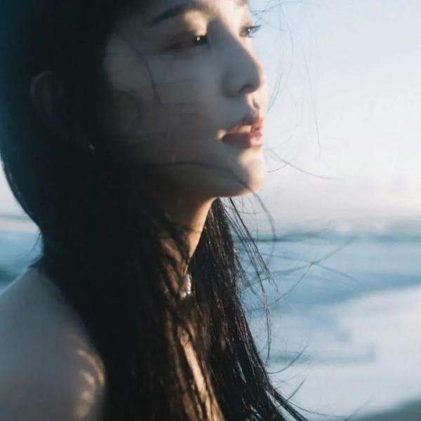 慈膳救援